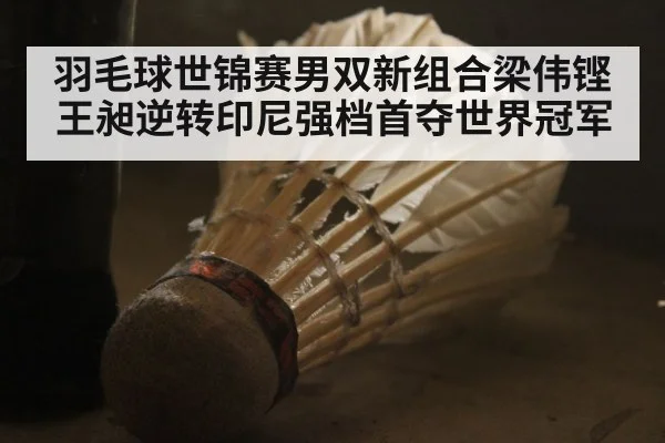 羽毛球世锦赛男双新组合梁伟铿王昶逆转印尼强档首夺世界冠军